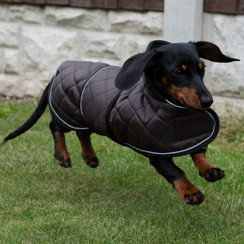 Geyecete Warm Thermal Quilted Dachshund Coat, Dog Winter Coat with Warm Fleece Lining, Outdoor Dog Apparel with Adjustable Bands for Medium, Large Dog -Black-L L: Back Length: 16inch Black - PawsPlanet Australia