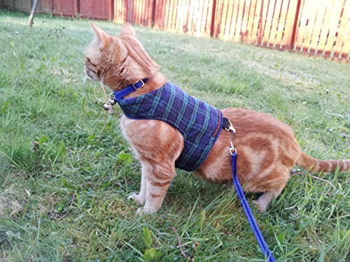 Mynwood Cat Jacket/Harness Black Watch Tartan Kitten up to 8month - PawsPlanet Australia