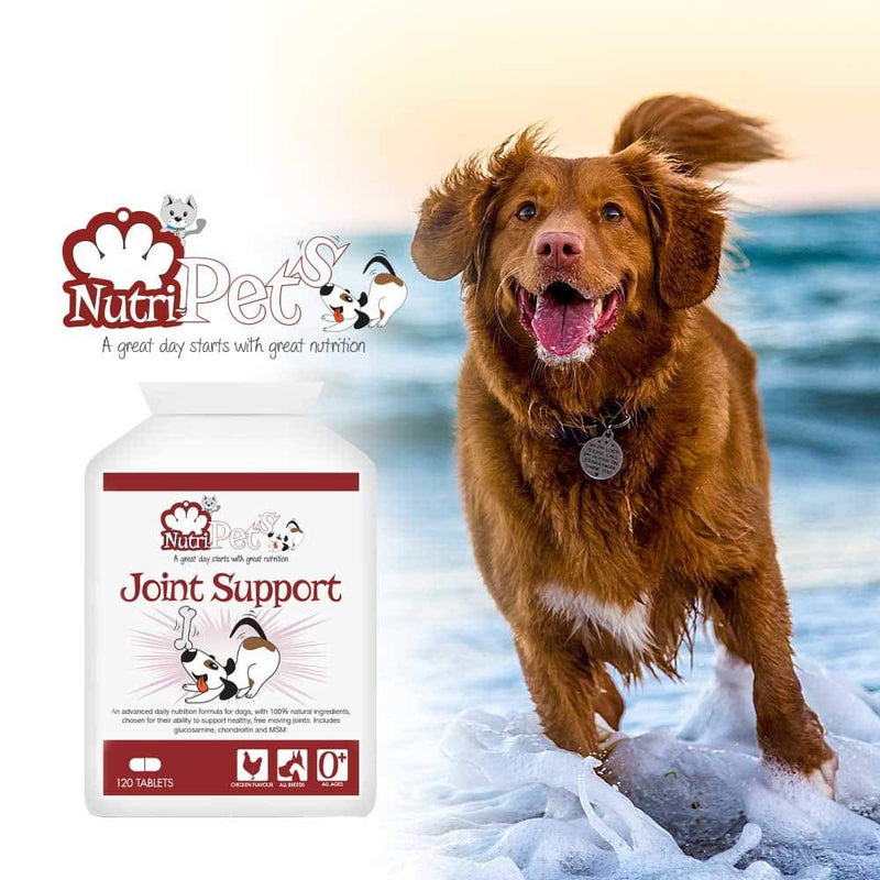 Nutri-Pets Joint Support - Premium Quality Joint Supplement for Dogs - Powerful Formula Including Glucosamine, Chondroitin, MSM, Curcumin & Hyaluronic Acid - 120 Tablets up to 120 Days Supply - PawsPlanet Australia