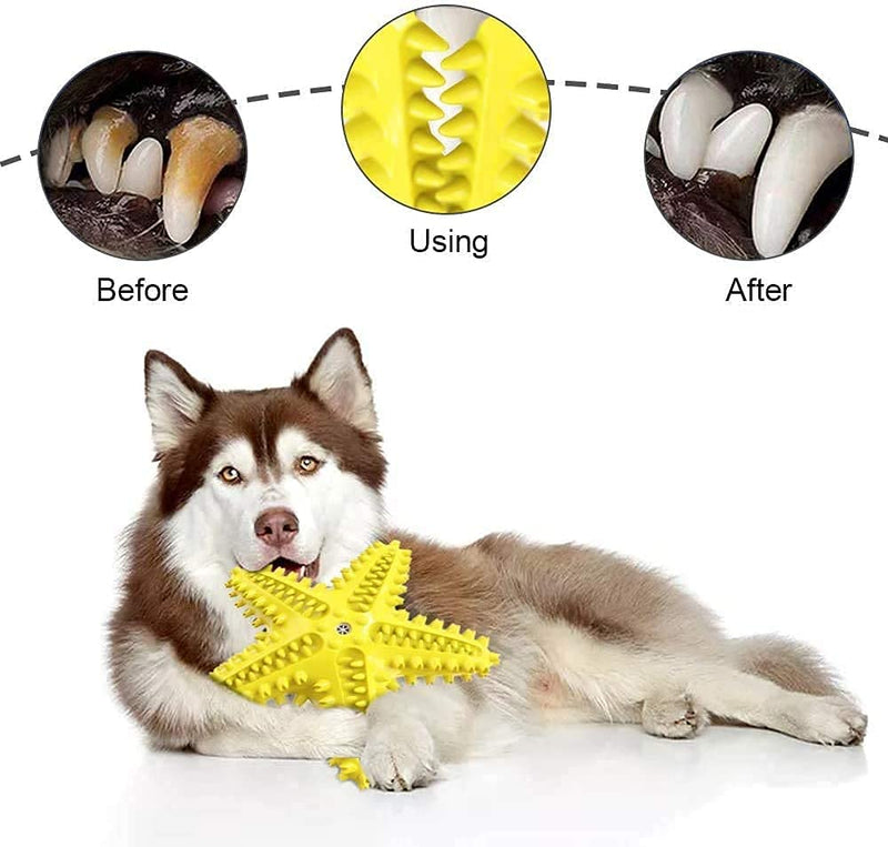 Dog Chew Toy Made with Durable Natural Rubber for Aggressive Chewers, Pet Teething Toys for Playtime and Teeth Cleaning, Dog Toys of Various Shapes starfish - PawsPlanet Australia