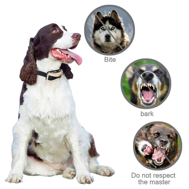 [Australia] - Anti Bark Dog Collar Rechargeable Waterproof, no Bark, no Shock, Harmless, Stop Barking Dog Training Collars for S,m and L Dogs,7 Sensitivity Levels Adjustable, Beep Sound Vibration (Gold) 