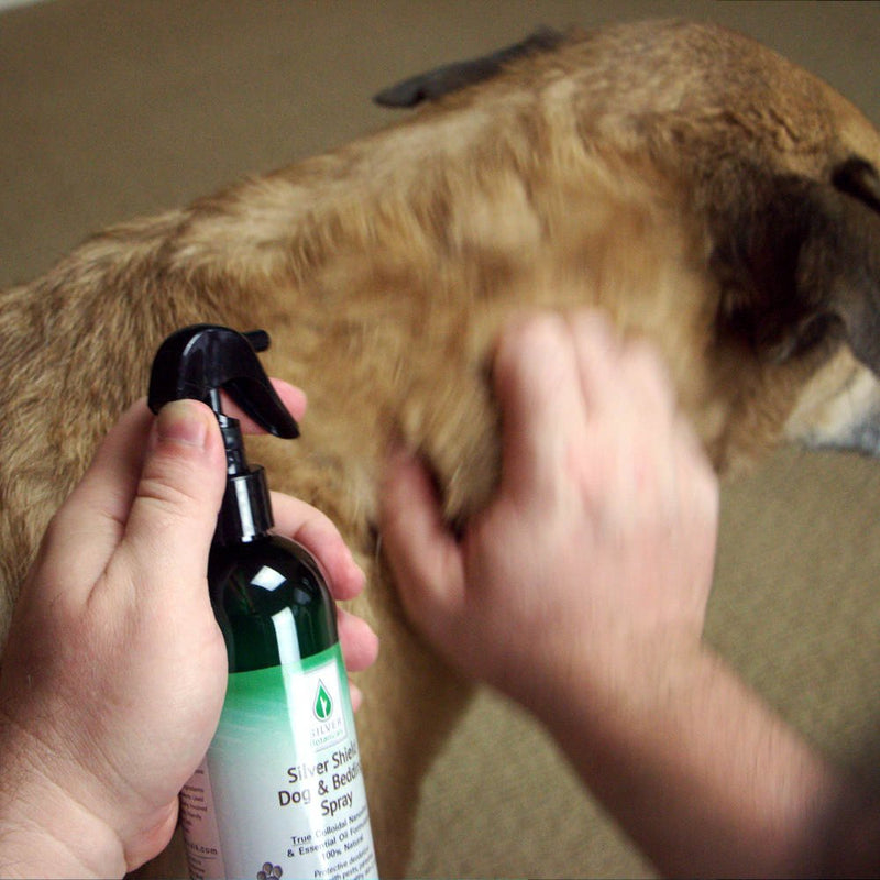 Silver Shield Dog & Bedding Spray | All Natural Colloidal Silver Dog Hygiene Spray - PawsPlanet Australia
