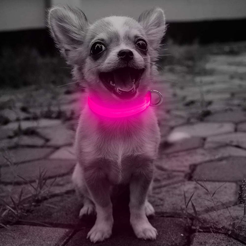 [Australia] - Clan_X Led Dog Collar, USB Rechargeable Lighted Collar for Small Dogs Cats, Glow in Dark Reflective Collars Keep Your Puppy Visible & Safe XS (8.5-11.8inch / 21.5-29.9cm) Cotton Candy Pink 