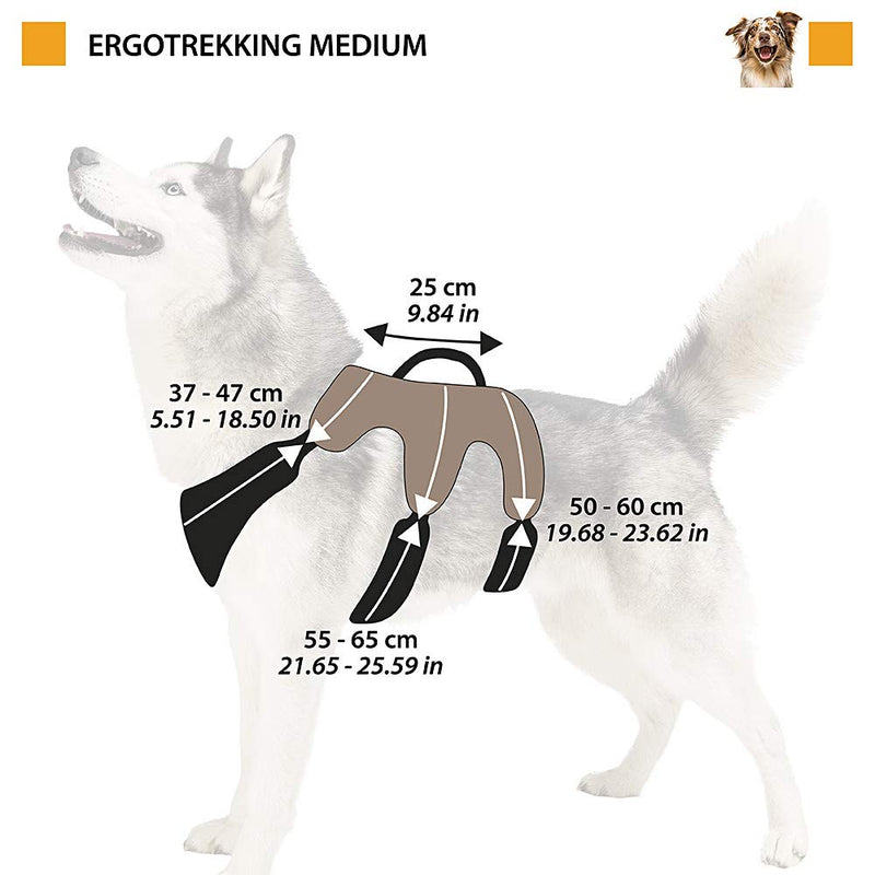 Ferplast Ergonomic Chest Harness for Medium-Large Dogs ERGOTREKKING P MEDIUM, Six Fastening Points with Micro Regulation, Soft Padding, Reflective, Ideal For a Day Out Trekking, Black - PawsPlanet Australia