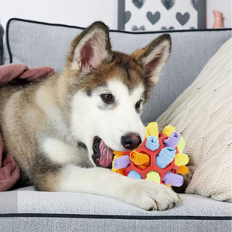 Jiahuade Sniffing Ball for Dogs, Sniffing Toy for Dogs, Sniffing Carpet Intelligence Toy, Washable Interactive Dog Toy Ball 20 cm for Food Search Instinct Training (B) B - PawsPlanet Australia