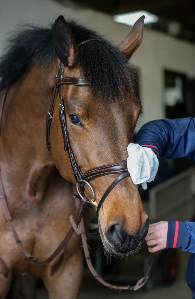 Carr&Day & Martin Belvoir Tack Leather Cleaner Step Gloves - PawsPlanet Australia