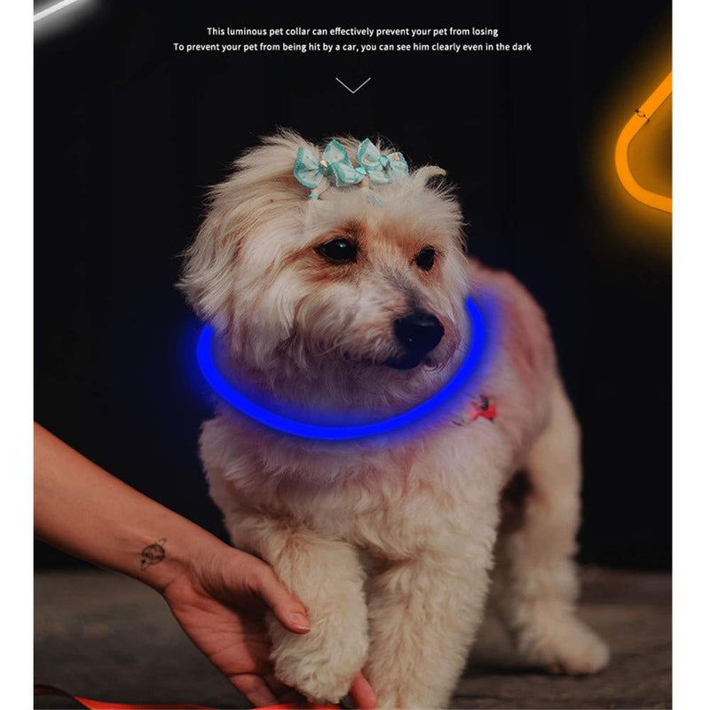 Jsdoin 1 PCS- LED Dog Collar, USB Rechargeable Light Up Pet Safety Collar with 3 Glowing Modes, Flexible Silicone Dog Collar Great for small medium large dogs-Blue - PawsPlanet Australia