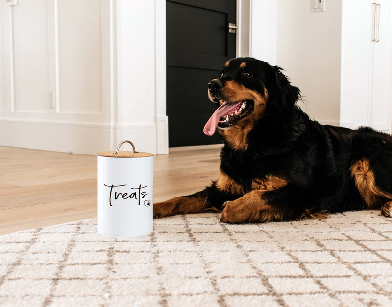 Simply Unleashed Dog and Cat Treat Container with Airtight Bamboo Lid - White, Stylish Pet Treat Jar - Durable Dog Biscuit Cookie Canister - Great Gift for Pet Owners - PawsPlanet Australia