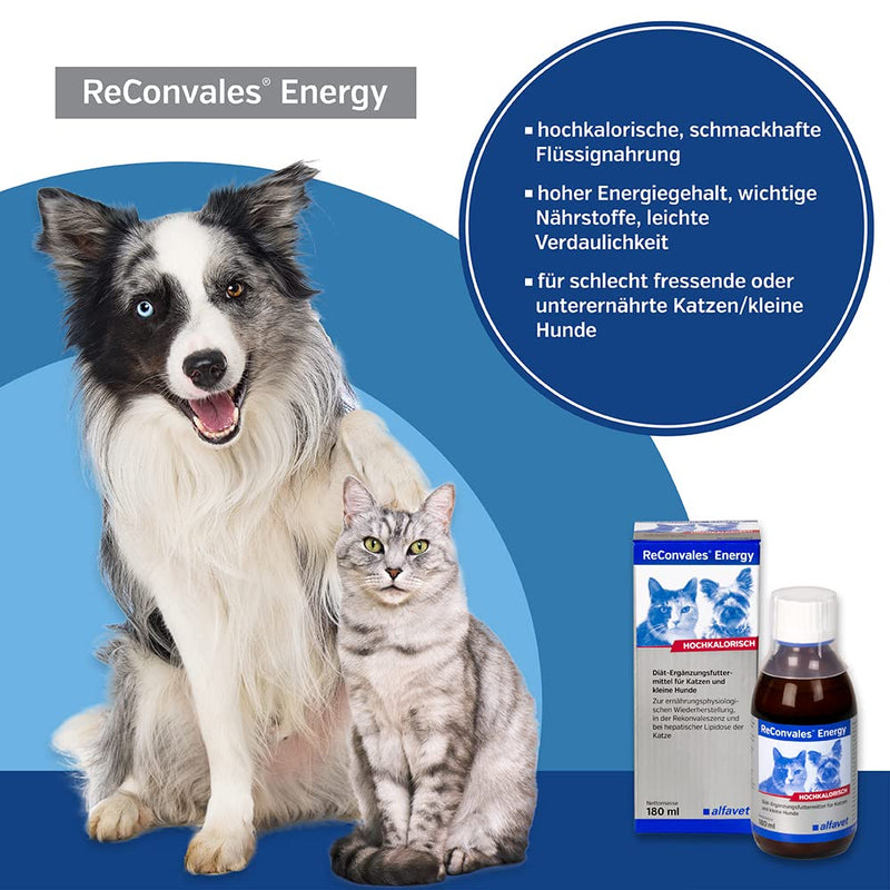 Alfavet ReConvales Energy for administration in convalescence, underweight and hepatic lipidosis of cats, high-calorie 180ml single - PawsPlanet Australia