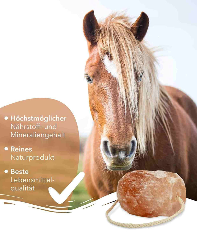 High-quality salt lick stone “Rock Crystal” 4 x lick stones with cord, total approx. 8 kg, for horses, sheep, cattle, game, livestock salt - mineral lick stone - premium lick stone - PawsPlanet Australia