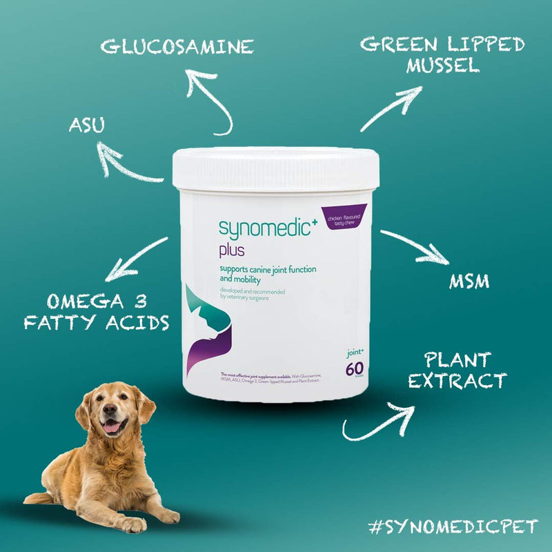 Synomedic+ plus Advanced Veterinary Joint Support Supplement for Dogs-ASU, Glucosamine,Omega 3, Green Lipped Mussel, MSM - PawsPlanet Australia