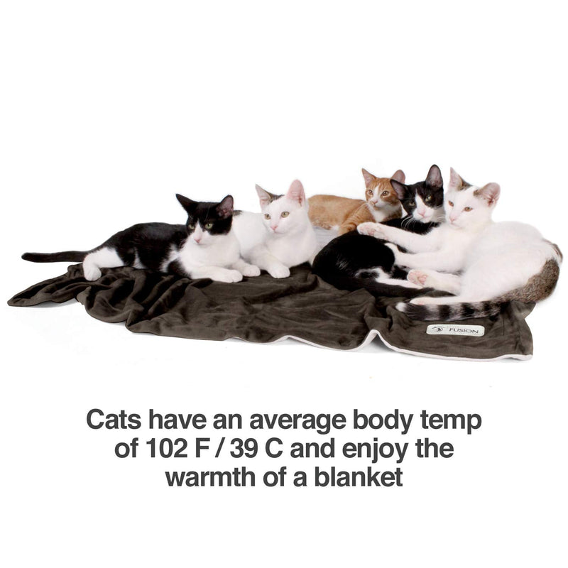 PetFusion Premium Dog Blanket, Cat Blanket | Ultra Soft Pet Blanket Available in Plush or Quilted, 2 Colors (Grey, Brown) | Perfect Blanket for Small Dogs & Large Dogs. 12 Month Warranty Small 31 x 27" - PawsPlanet Australia