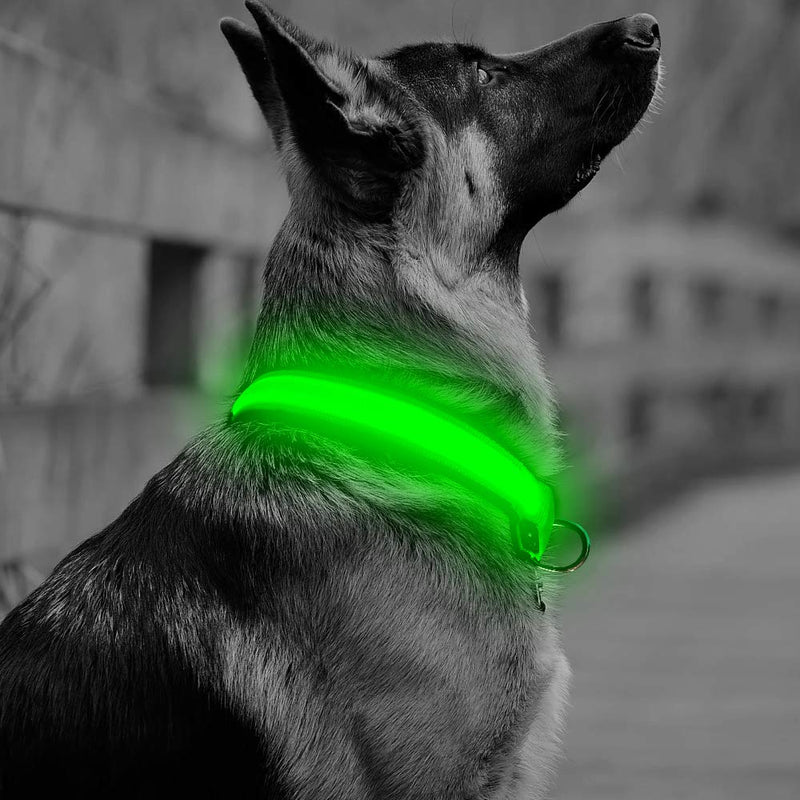 [Australia] - BSEEN LED Dog Collar, USB Rechargeable& Adjustable Glow in The Dark Led Pet Collar, Neoprene Padded Comfortable Nylon Light Up Collars for Small Medium Large Dogs Medium [15.3-18.5 inch] Green 