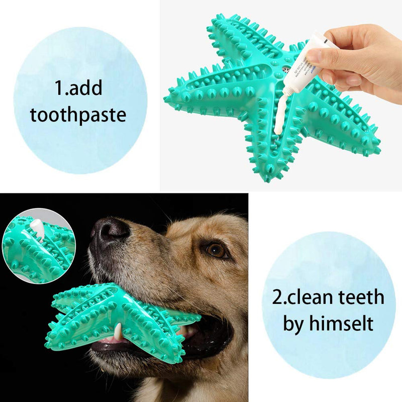 AprFairy Dog Chew Toys, 2-pcs Puppy Squeaky Toys Durable Non-Toxic Starfish Chew Toys for Teeth Cleaning/Chewer Toothbrush/Relieve Stress, Dog Interactive Toys Suitable of Small Medium Large Dogs - PawsPlanet Australia