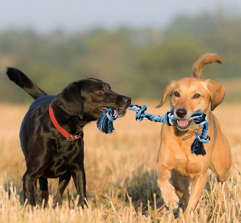 BMAG Dog Rope Toys for Aggressive Chewers, Interactive Heavy Duty Dog Toys for Medium Large Dogs, Tough Twisted Rope Toy with 5 Knots XL-Blue - PawsPlanet Australia