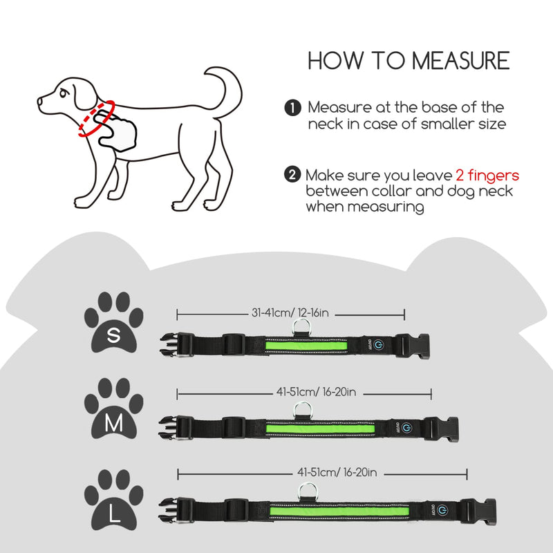 Nobleza - LED light collar for dogs, rechargeable dog collar, luminous, collar adjustable, 100% waterproof, 3 flashing lights, safety collar for large, small, medium-sized dogs, green L - PawsPlanet Australia