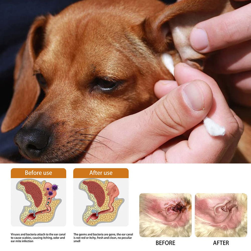 Ear cleaner for dogs and cats, ear mite oil, ear drops for mites, gentle ear cleaning, effective care product against ear mites, ear cleaner - PawsPlanet Australia
