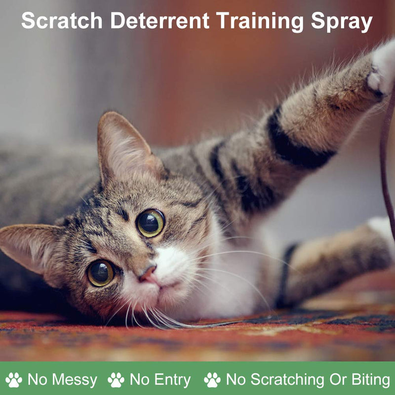 SEGMINISMART Cat Scratch Deterrent Spray, Anti Cat Scratching Spray, Cat Scratching Training Spray, Anti Scratch Cat Repellent Spray, Furniture Protection 120 ml (Pack of 1) Green - PawsPlanet Australia