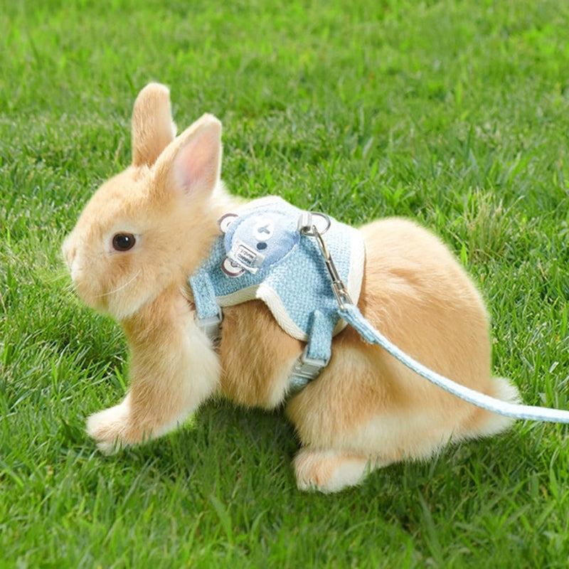 Rabbit harness leash, breathable rabbit walking harness, anti-pull harness vest for small animals, rabbits, hamsters, guinea pigs, chinchillas, ferrets, kittens, pink S: 1.0-3.0kg//6.6-13.2 lbs - PawsPlanet Australia