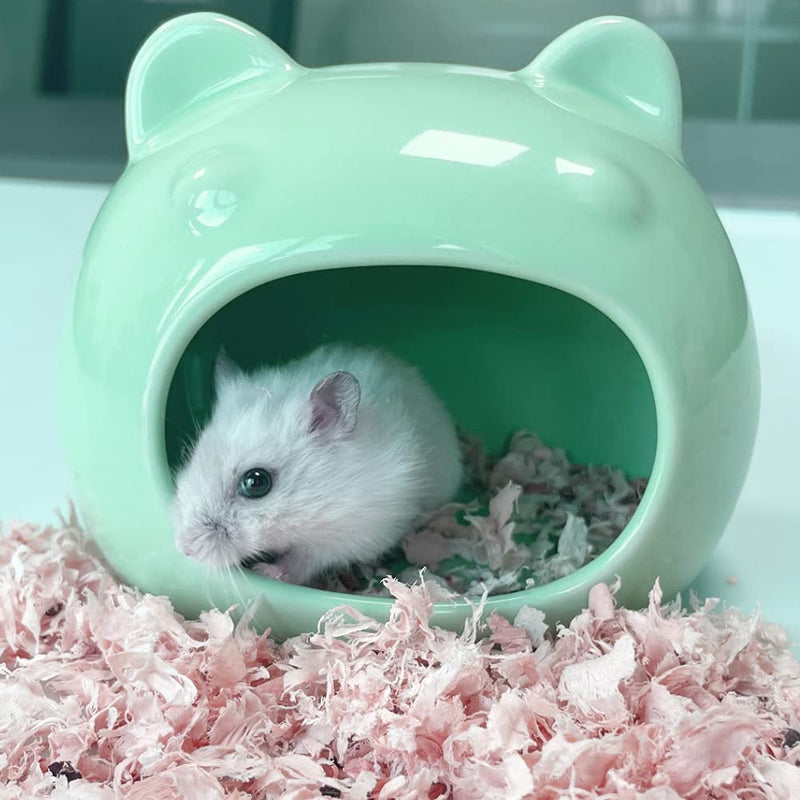 AmazeFun Small Pet Hideout Ceramic Adorable House Cozy Bed for Gerbils Hamsters Mice Mini Animals(Cyan) Cyan - PawsPlanet Australia