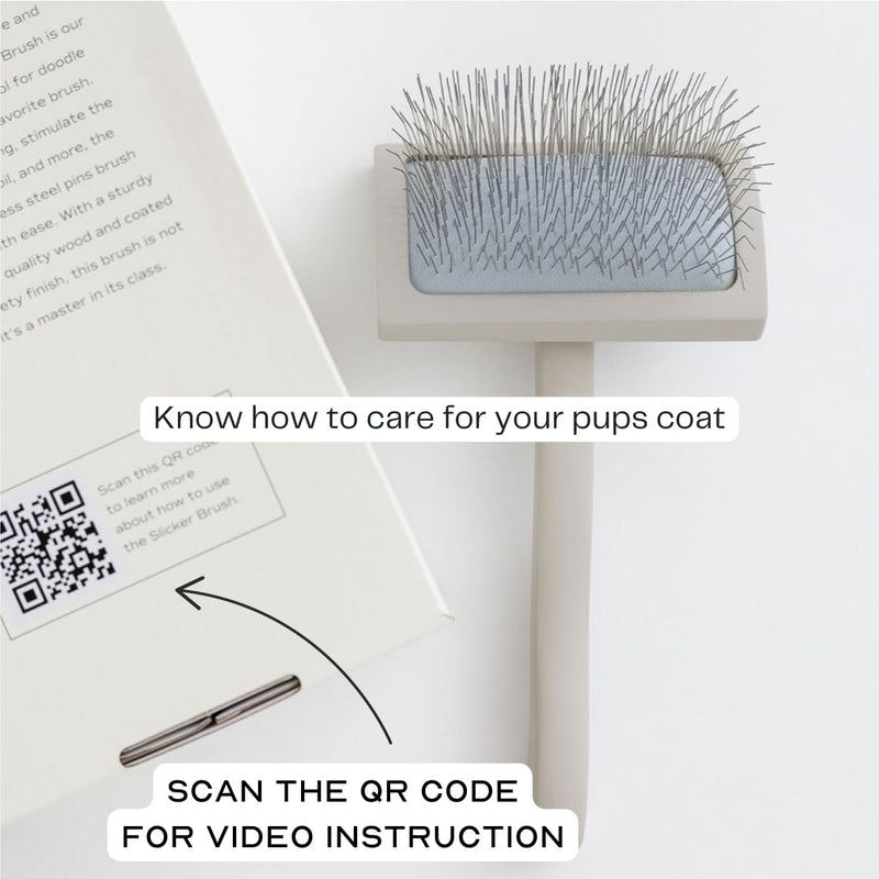 Slicker Brush for Professional and Luxury Dog Grooming to Prevent Matting with Dense and Extra Long Stainless Steel Pins (Goldendoodles, Labradoodles, Poodles) - PawsPlanet Australia