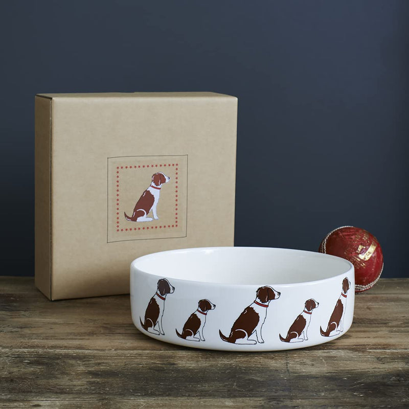 Springer Spaniel dog bowl - PawsPlanet Australia