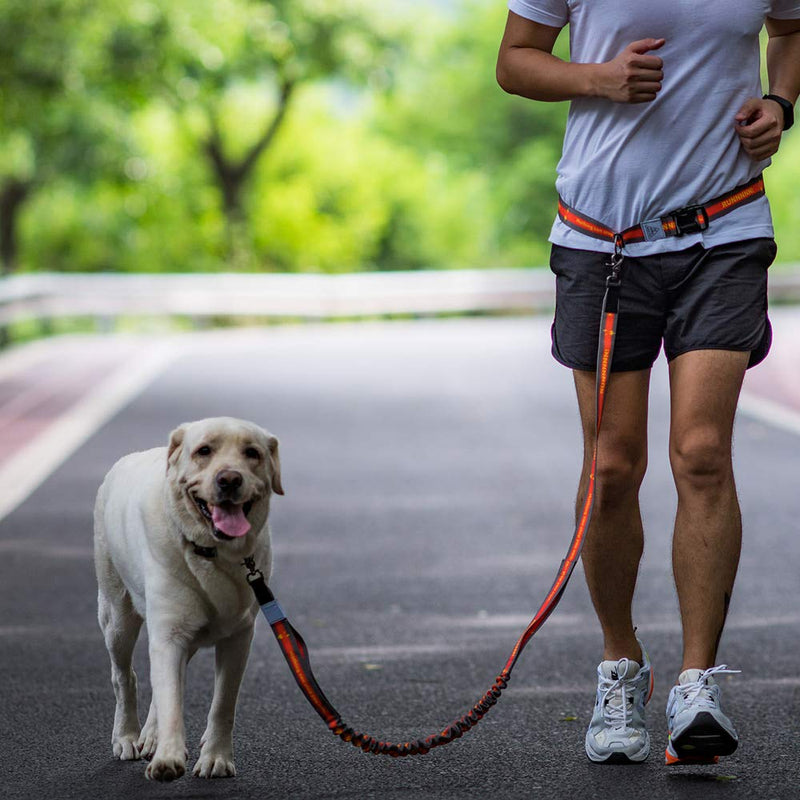 [Australia] - JC HOUSE Retractable Hands Free Dog Leash with Dual Handle, Adjustable Waist Belt Dog leashes for up to 150 lbs Large Dogs Orange 