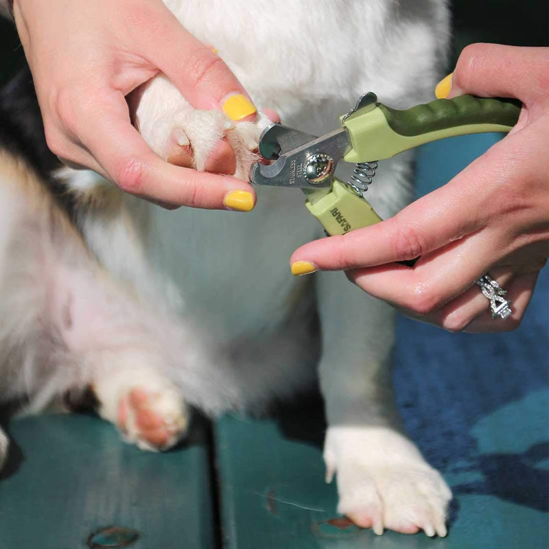 Safari Professional Large Nail Trimmer For Dogs - PawsPlanet Australia