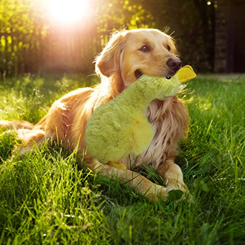 [Australia] - Mihachi Plush Squeaky Dog Toys-Pet Toy Duck,for Medium and Large Dogs,14" Long 1 Pack Duck:14" Long 