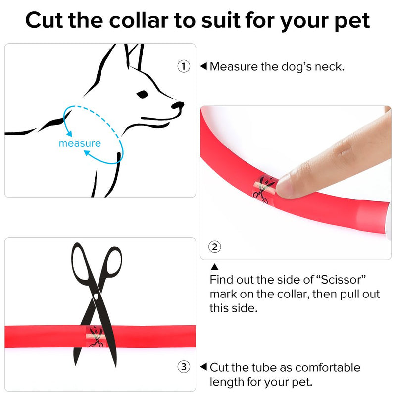 [Australia] - HiGuard LED Dog Collar, USB Rechargeable Glowing Pet Safety Collars, Adjustable Water-Resistant Flashing Light Up Necklace Collar Make Your Dogs High Visible & Safe in the Dark (1 Pack-Red) 