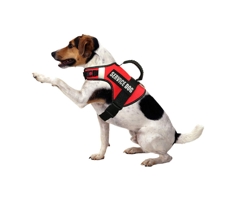 Dihapet Dog Harness No Pull, Service Dog Vest In Training Harness for Puppy Small Medium Large Dog, Adjustable Reflective XL Chest 29-41in Orange - PawsPlanet Australia