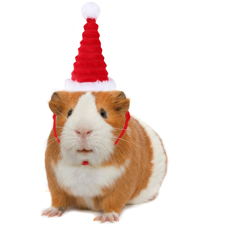 Pack of 2 Hamster Christmas Hat, Christmas Hat for Small Pets, Guinea Pig Santa Christmas Hat for Rabbits, Hamsters, Rabbits, Rats, Kittens and Small Animals - PawsPlanet Australia