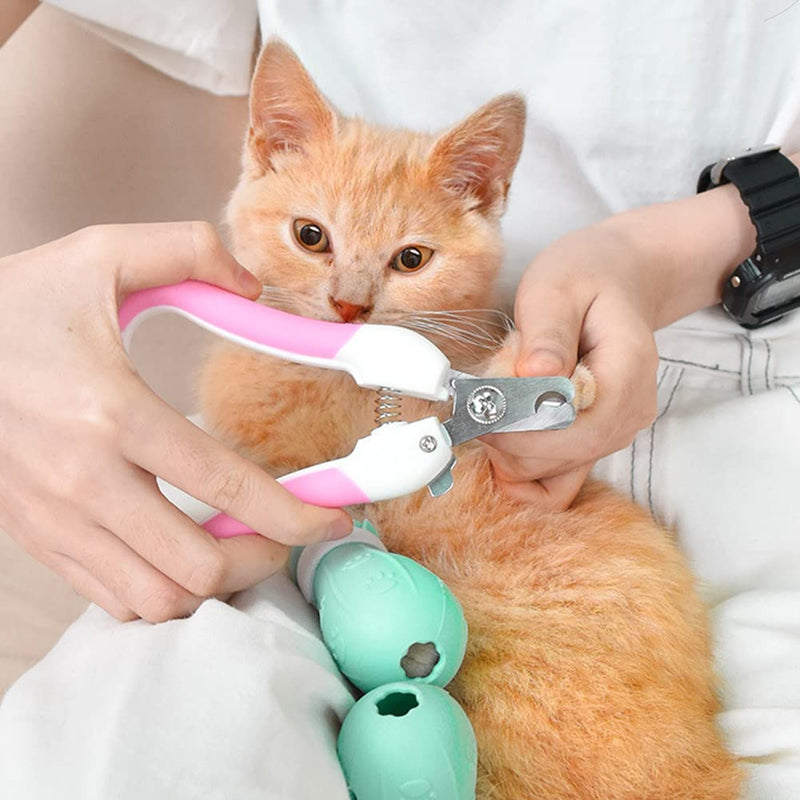 Mirrwin Silicone Cat Shoes Silicone Anti-Scratch Cat Shoes Adjustable Cat Shoes Adjustable Pack of 4 for Dogs or Cats to Prevent Scratches, Light Green - PawsPlanet Australia
