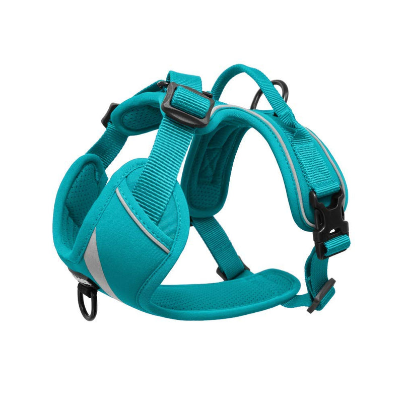 [Australia] - Maverick Dual Attachment Outdoor Dog Harness by Voyager | NO-pull Pet Walking Vest Harness - Turquoise, Medium 