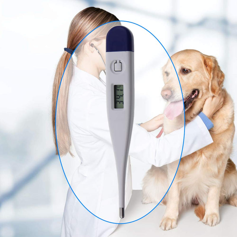 Digital Vets Thermometer For Pet Owners of Dogs Cats Horses Animals With FREE Veterinary Hobday's Spec Chart - PawsPlanet Australia