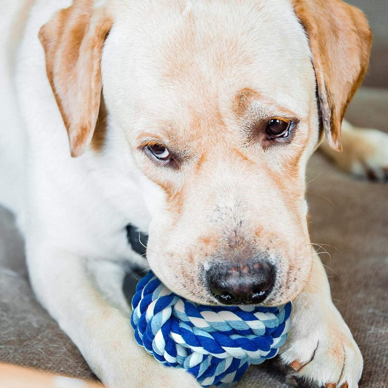 SpeedPets Durable Strong Training Teeth Cotton Pet Dog Rope - Tug Dog Toys 4 Piece Set - PawsPlanet Australia