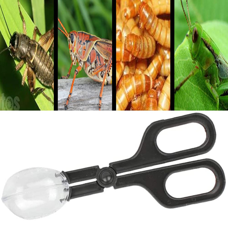 NA 3 Pieces Reptile Feeding Clip Tongs Reptile Feeding Scooper Clamp Lizard Beetle Insect Catch Clamp for Tortoise Lizard Frog Spider Tarantulas - PawsPlanet Australia