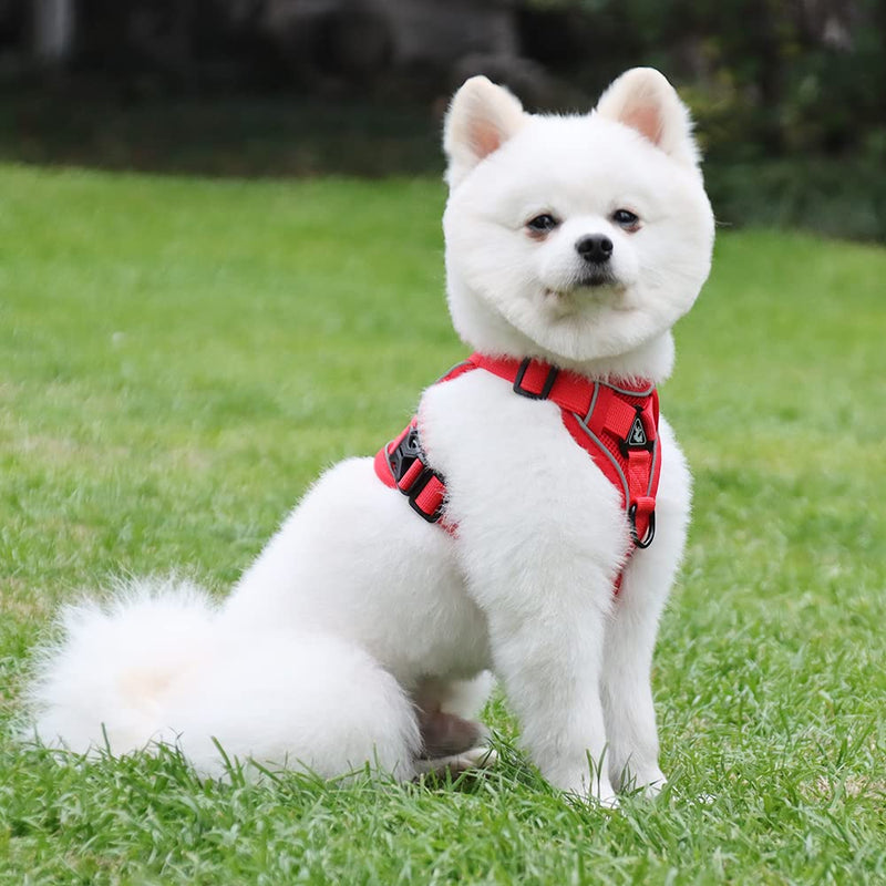 Lairle Dog Harness Small Dog, Puppy Harness, No Pull Dog Hanress Reflective Mesh Dog Vest Hanress with Leash Set for Small Dogs Cats XL Red - PawsPlanet Australia