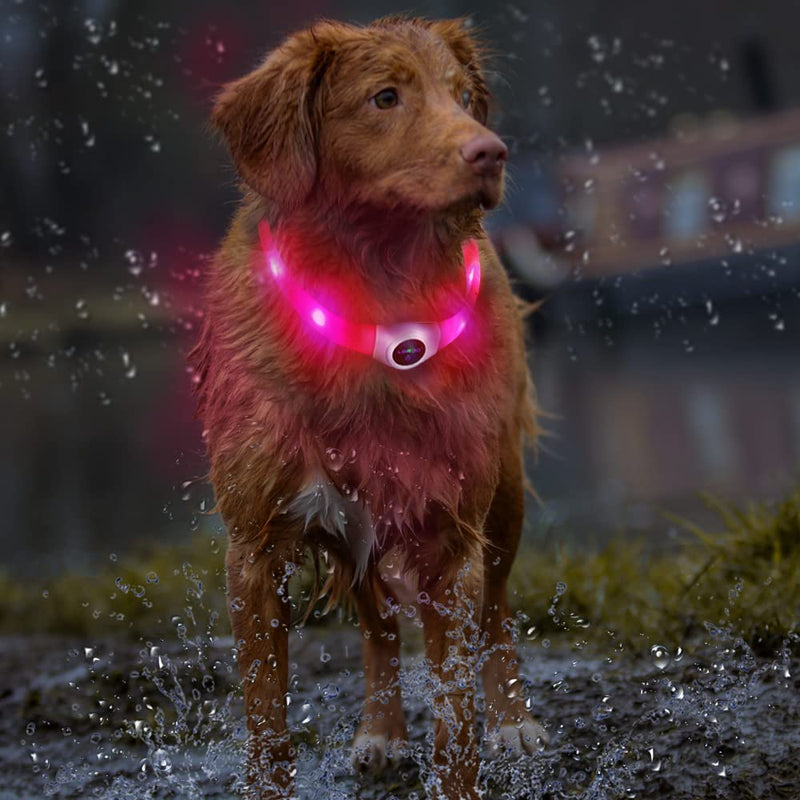 LaRoo LED Dog Collar USB Rechargeable Night Safety Dog Collar Luminous Collar for Small Medium Large and Long Haired Dogs -3 Mode(65CM*2.5CM) (65CM*2.5CM) Pink Red - PawsPlanet Australia