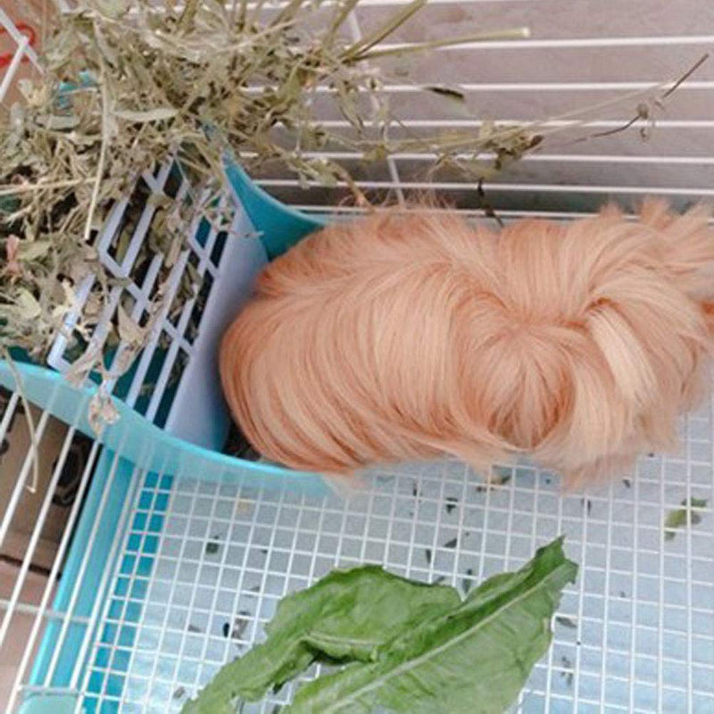 kathson Hay Food Bin Feeder, Rabbit Hay Feeder Hay and Food Feeder Bowls Manger Rack Pet Chew Toys Grass Cake for Bunny Guinea Pig Chinchilla Hamsters - PawsPlanet Australia