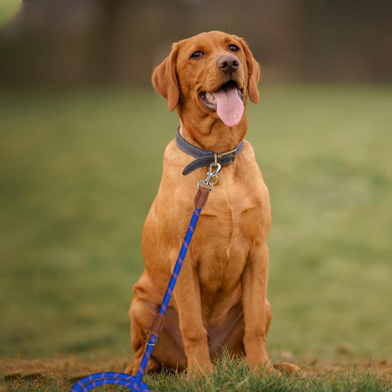 Bebochoi Dog Lead Large Dogs Double Lead Reflective 3 m Adjustable 1.3 cm Thick Braided Lead Dog with Carabiner Bite-Resistant for Medium and Large Dogs of All Sizes, Blue C - PawsPlanet Australia