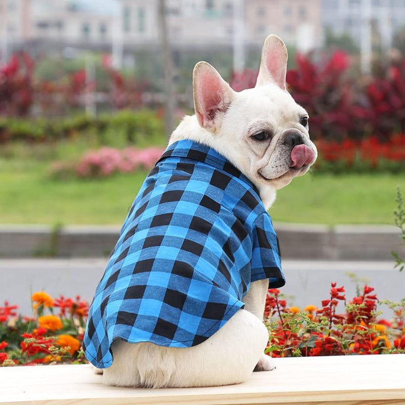 Dog Clothes Comfortable Breathable Stylish Cute Puppy Pet Dog Clothes BLUE X-Small - PawsPlanet Australia