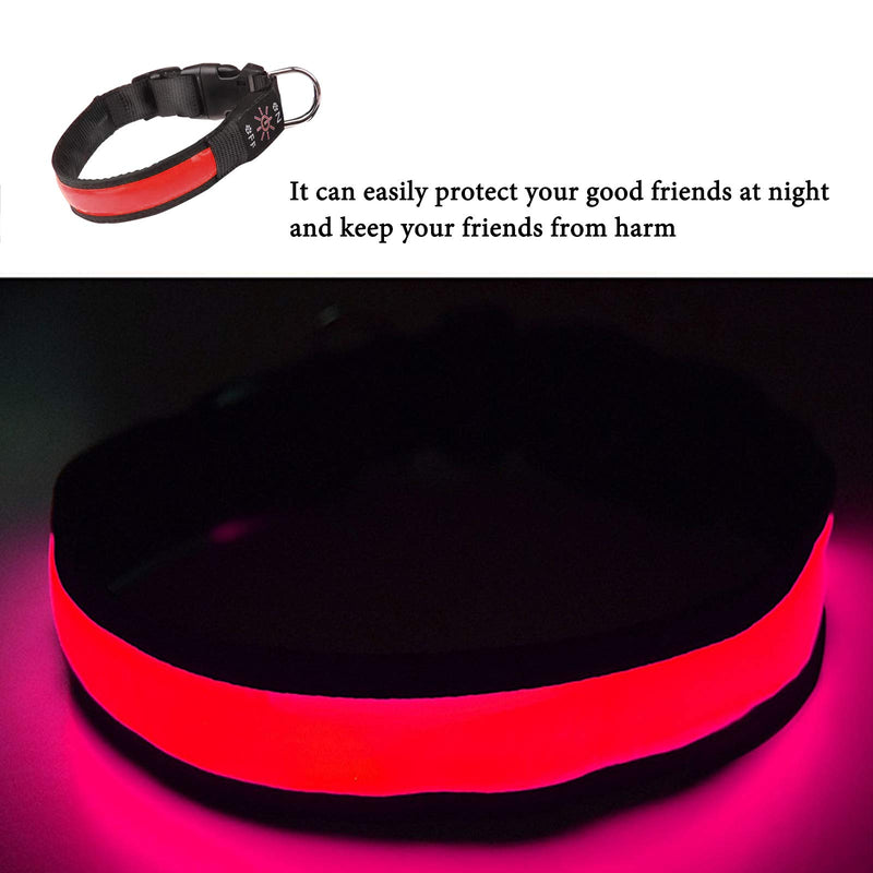 LED Dog Collar Light Up Dog Collar USB Rechargeable Waterproof,Night Dog Band with 3 Glowing Modes,Makes Your Dog Visible, Safe & Seen (red) (red, M) red - PawsPlanet Australia