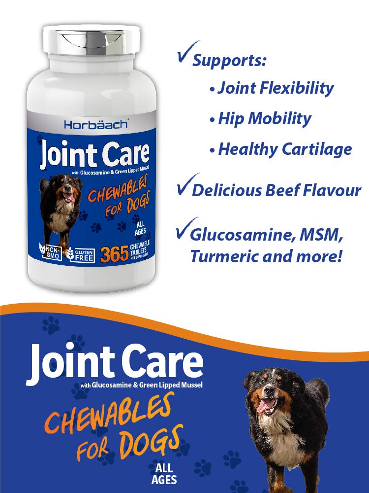 Joint Care for Dogs | 365 Liver Flavour Chewable Tablets | Hip & Joint Health | Glucosamine, MSM, Green Lipped Mussel, Hyaluronic Acid + More | Non-GMO, Joint Aid Supplement for Dogs - PawsPlanet Australia