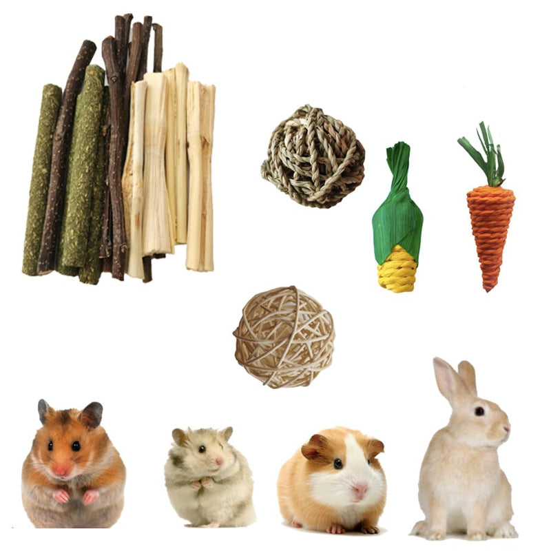 Aisamco Rabbit Chew Toys, 19 Pack Guinea Pig Toy Hamster Toy Small Animal Chew Toy Natural Timotheus Hay Chinchilla Toy for Teeth Treats Apple Wood Sticks - PawsPlanet Australia