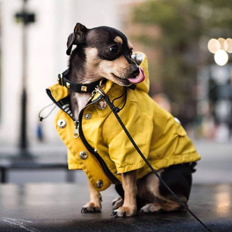 Dogs Outfits for Small Medium Large Dogs Waterproof Puppy Raincoat Dog Jacket Coat Windproof Pet Outfits Pet Supplies (L) - PawsPlanet Australia