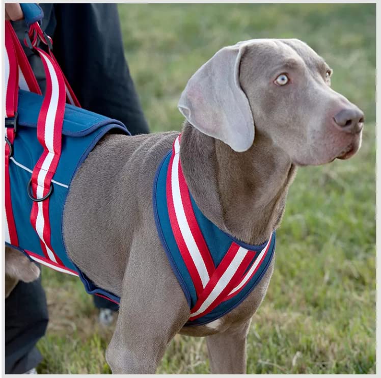 XTrador dog harness carrying aid for dogs especially for hip problems carrying strap for injured, older or musculoskeletal limited dogs rehabilitation safety walking aid (M) M - PawsPlanet Australia