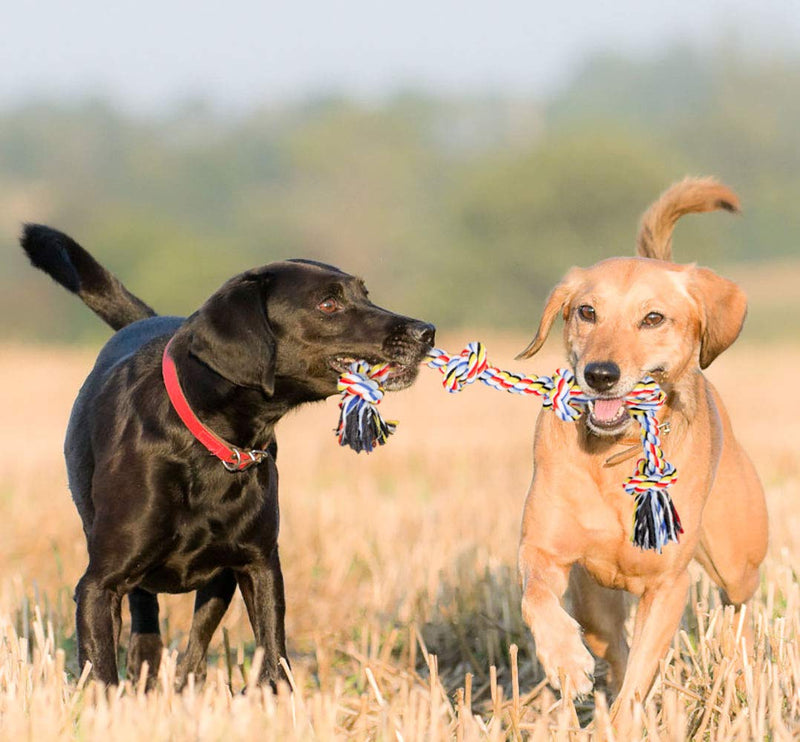 [Australia] - BMAG Dog Rope Toys for Aggressive Chewers, Interactive Heavy Duty Dog Toys for Medium Large Dogs, Tough Twisted Rope Toy with 5 Knots XL-Yellow 