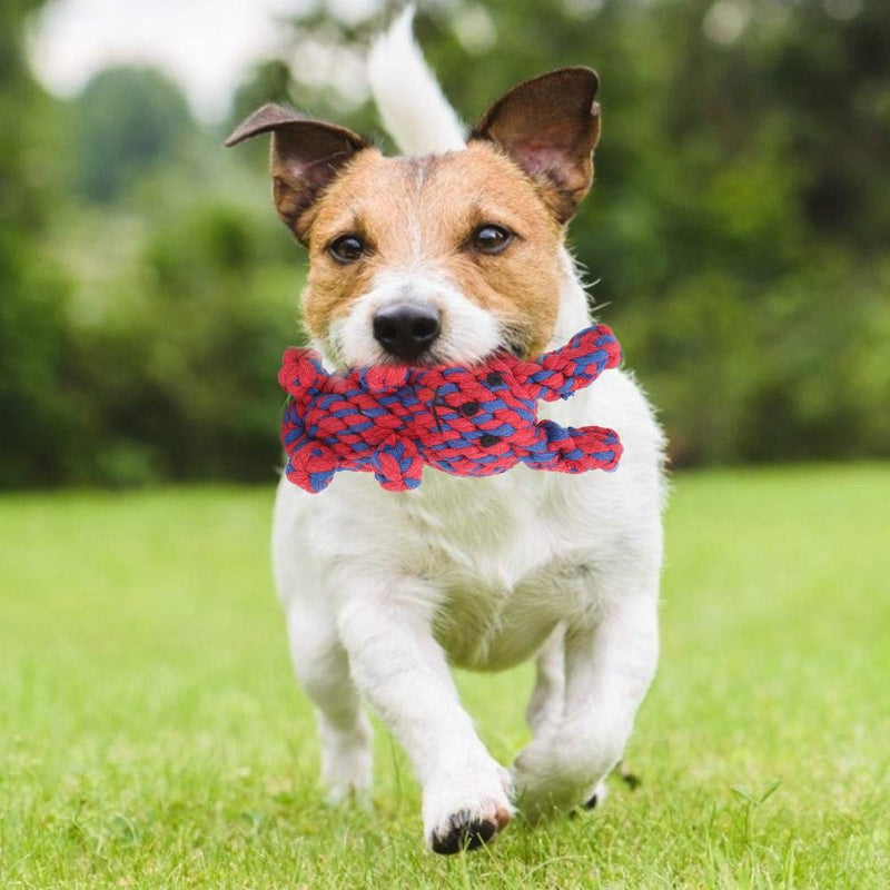 Summer Enjoyment Dog Cotton Rope Toy, Pet Toy, Panda Puppy Biting Chewing for Animal Dogs(Red and Blue Bunny) Red and Blue Bunny - PawsPlanet Australia