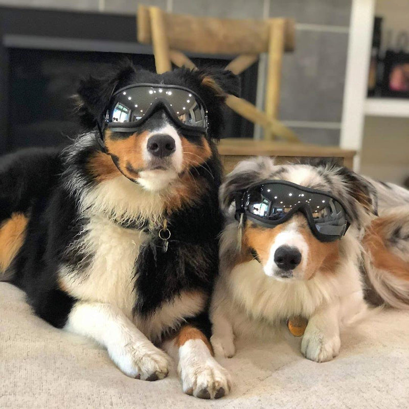 PETLESO Dog Goggles - Large Dog Eye Protection Goggles Windproof Sunglasses for Medium Large Dog Black - PawsPlanet Australia